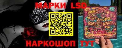 МДПВ Бердск