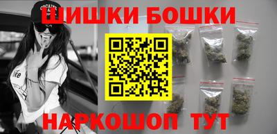 МДПВ Бердск