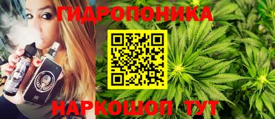 МДПВ Бердск