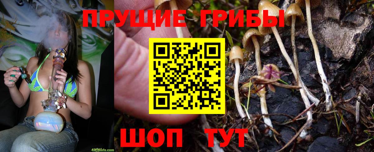 магазин    Вход с VPN  Краснодар  Псилоцибиновые грибы GOLDEN TEACHER 
